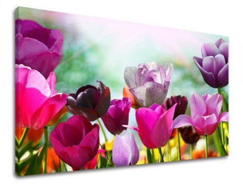 Obraz na stenu KVETY TULIPÁNY XOBKV148E11