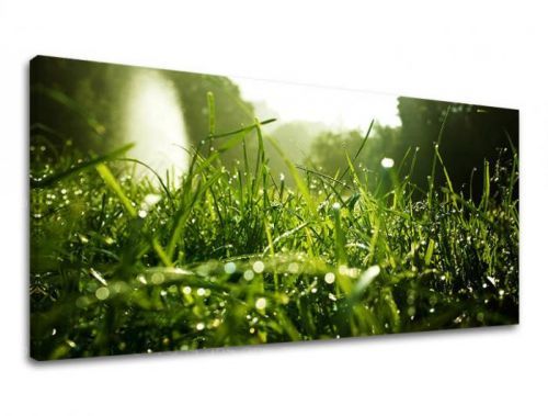 Obraz na stenu PANORÁMA RASTLINY RA001E13