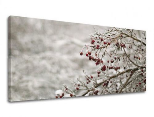 Obraz na stenu PANORÁMA STROMY ST007E13