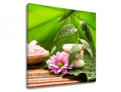 Obraz na stenu FENG SHUI FS021E12