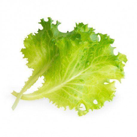 Lingot s BIO semenami hlávkového šalátu pre inteligentné kvetináče Véritable