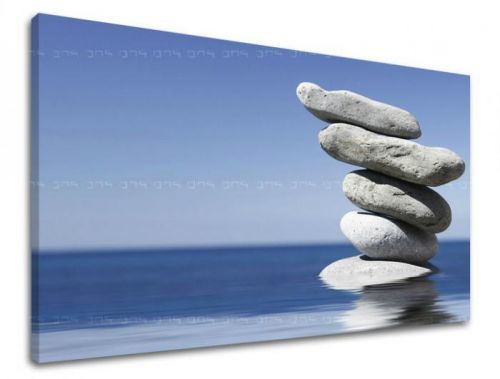 Obraz na stenu FENG SHUI FS038E11