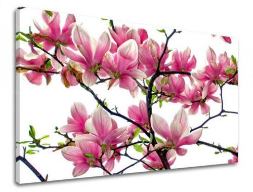 Obraz na stenu KVETY XOBKV132E11