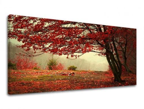 Obraz na stenu PANORÁMA STROMY ST017E13