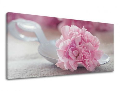 Obraz na stenu PANORÁMA KVETY KV100E13