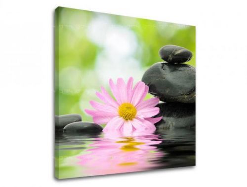 Obraz na stenu FENG SHUI FS009E12