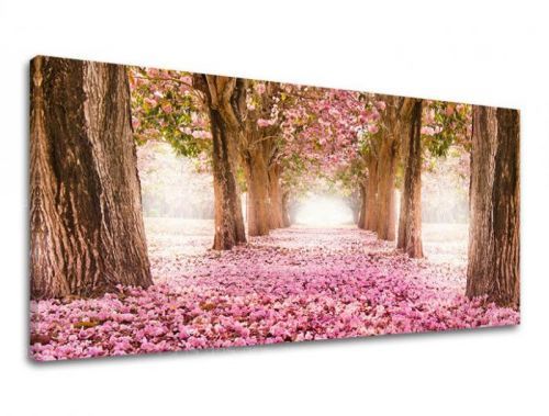 Obraz na stenu PANORÁMA STROMY ST008E13