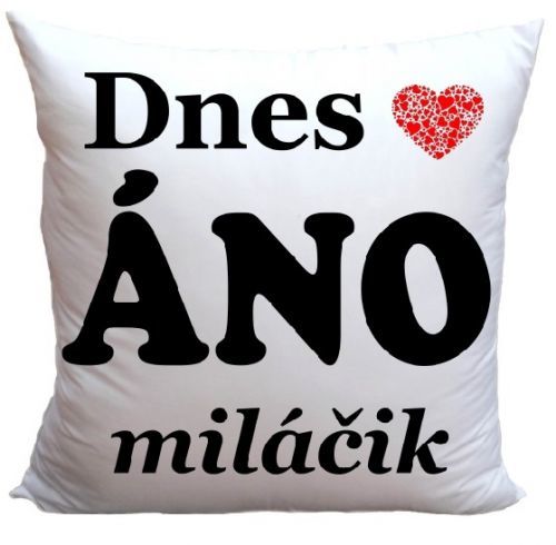 Vankúš Dnes Áno/Nie (Veľkosť: 40 x 40 cm)