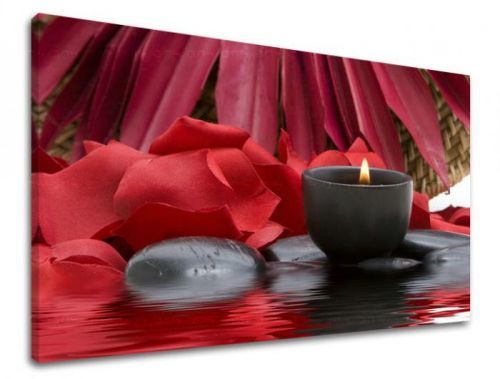 Obraz na stenu FENG SHUI FS040E11