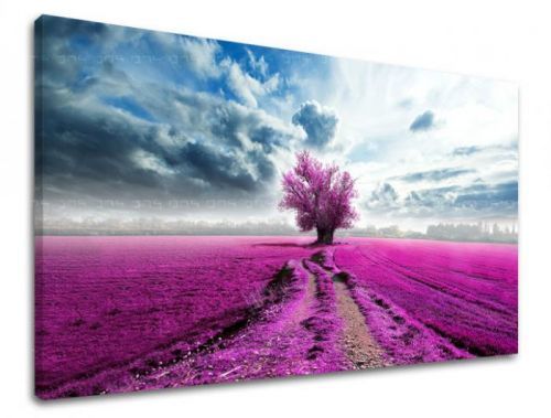 Obraz na stenu STROMY ST014E11