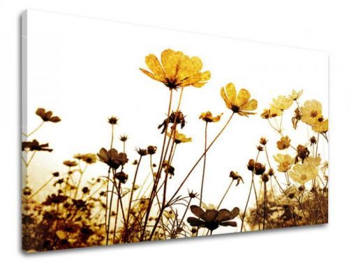 Obraz na stenu KVETY XOBKV143E11