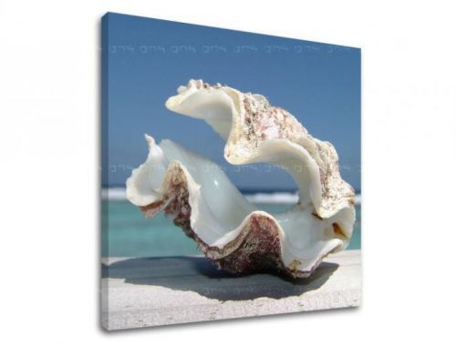 Obraz na stenu PLÁŽ PL005E12