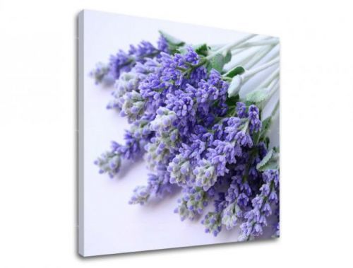 Obraz na stenu KVETY XOBKV122E12