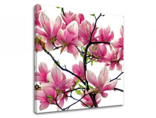 Obraz na stenu KVETY XOBKV132E12