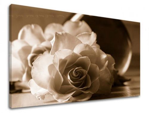 Obraz na stenu KVETY RUŽE XOBKV104E11