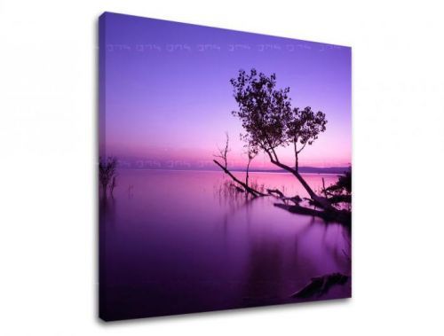 Obraz na stenu ZÁPAD SLNKA ZS006E12