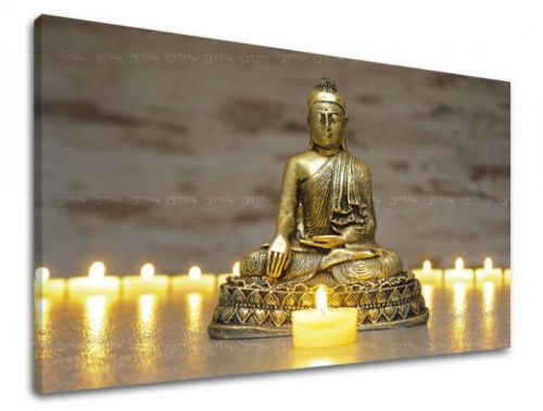 Obraz na stenu FENG SHUI FS022E11
