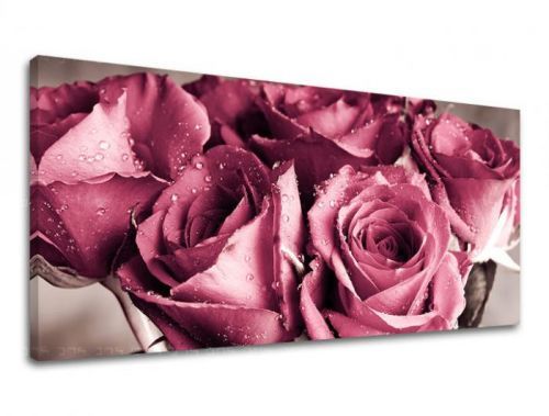 Obraz na stenu Panoráma KVETY XOBKV139E13