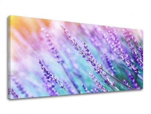 Obraz na stenu PANORÁMA KVETY KV064E13