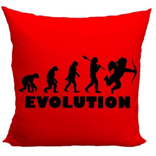 Vankúšik Evolution láska (Veľkosť: 40 x 40 cm)