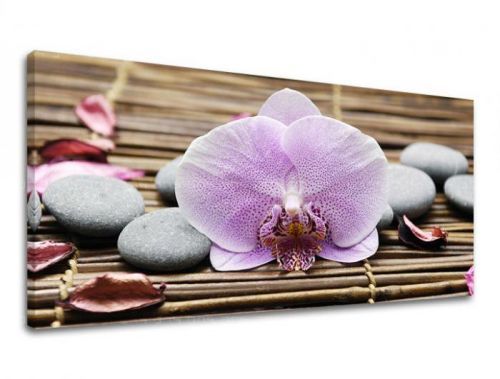 Obraz na stenu PANORÁMA FENG SHUI FS010E13