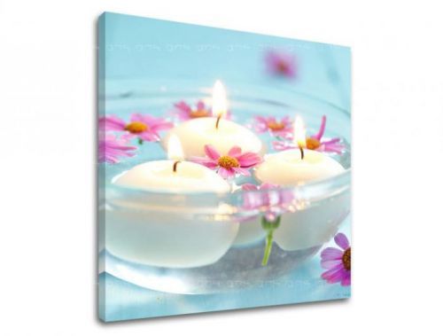 Obraz na stenu FENG SHUI FS027E12