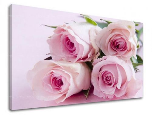 Obraz na stenu KVETY XOBKV136E11