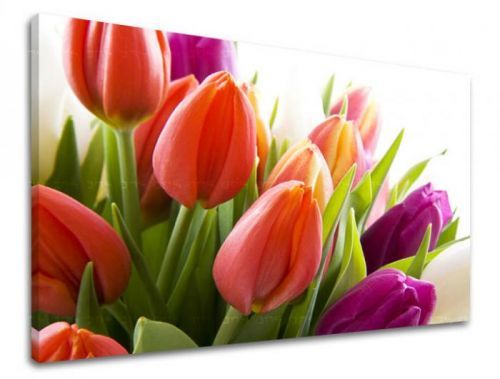 Obraz na stenu KVETY TULIPÁNY XOBKV138E11