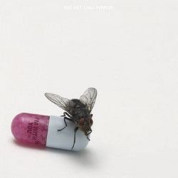 Red Hot Chili Peppers - I'm With You CD