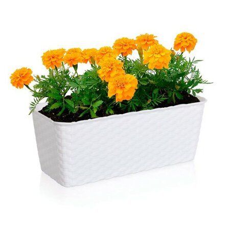 Truhlík samozavlažovací 30 cm biela,