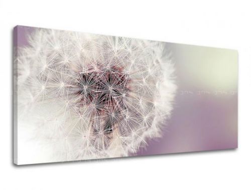 Obraz na stenu PANORÁMA KVETY KV065E13