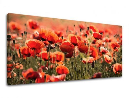 Obraz na stenu PANORÁMA KVETY KV097E13