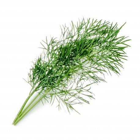 Lingot s BIO semenami kôpru pre inteligentné kvetináče Véritable
