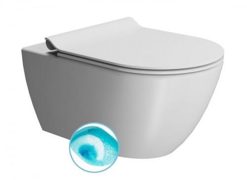 GSI - PURA WC závesné 55x36 cm, SWIRLFLUSH, biela dual-mat (881509)