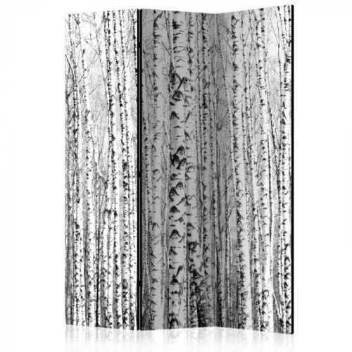 Paraván Birch forest Dekorhome 135x172 cm (3-dílný)