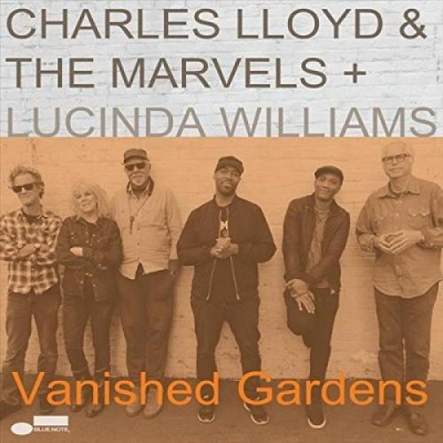 Vinyl LLOYD CHARLES &THE MARVELS - VANISHED GARDENS