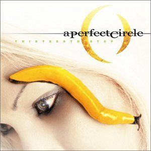 CD PERFECT CIRCLE - THIRTEENTH STEP