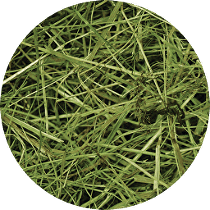 Seno  luční RabbitWeed 0,6kg