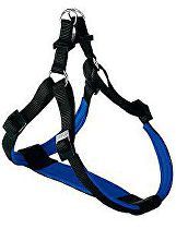 Postroj DAYTONA P L modrá FP 1ks