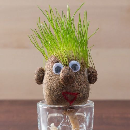 Hlava s rastúcimi vláskami