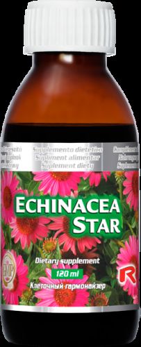 Echinacea Star