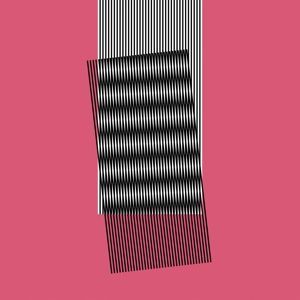 CD HOT CHIP - WHY MAKE SENSE?