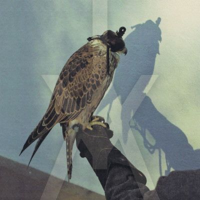 CD ICEAGE - YOU'RE NOTHING