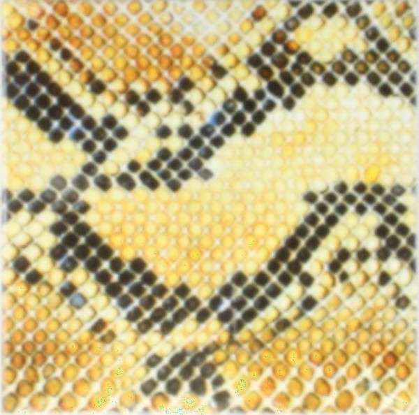 CD AMAZING SNAKEHEADS - AMPHETAMINE BALLADS