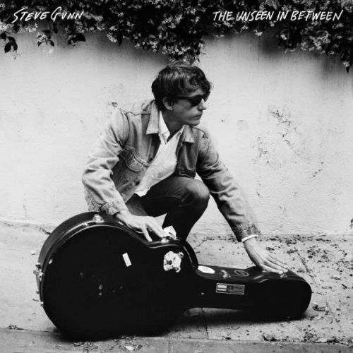 CD GUNN, STEVE - UNSEEN IN BETWEEN