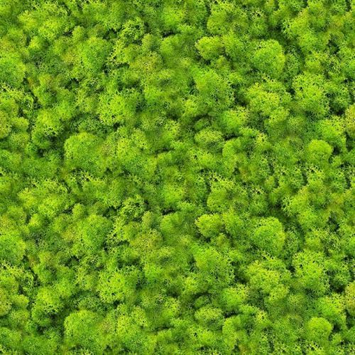 Sklenený panel 60/60 Evergreen-1 Esg