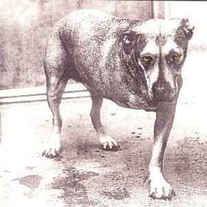 Alice In Chains - CD Alice In Chains