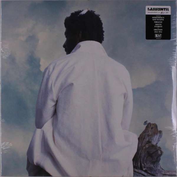 Vinyl Labrinth - Misfit Kid