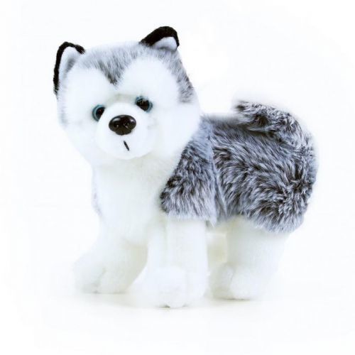 Plyšový pes husky stojící, 22 cm