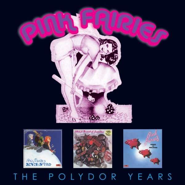 CD PINK FAIRIES - POLYDOR COLLECTION